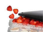 112380 Déshydrateur d'aliments