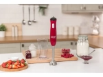 Mixeur plongeant 24690-56 RUSSELL HOBBS